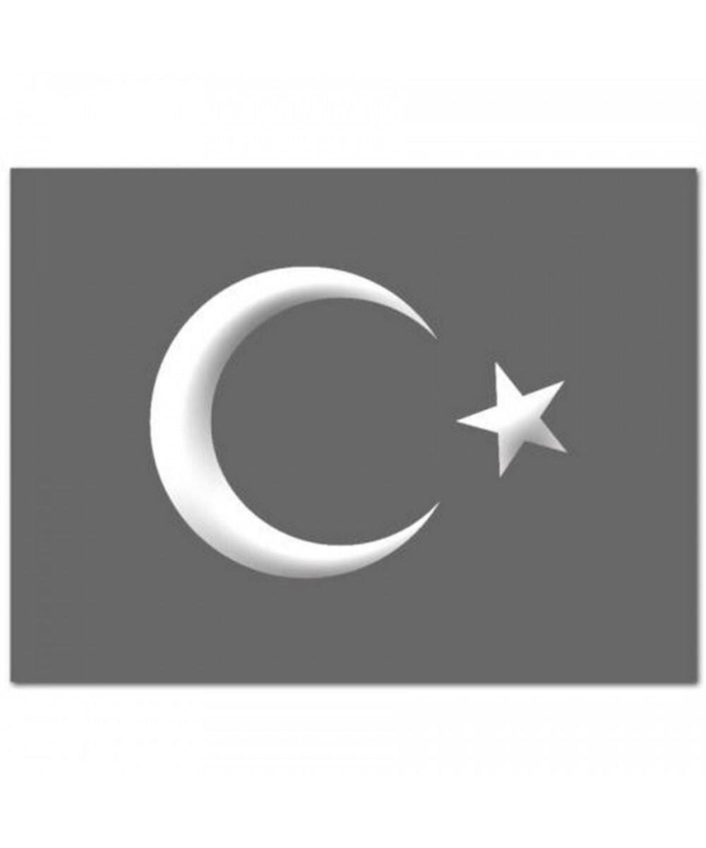 AY YILDIZ ÇIKARTMASI XL  BEYAZ 30X39CM KOD:800901163