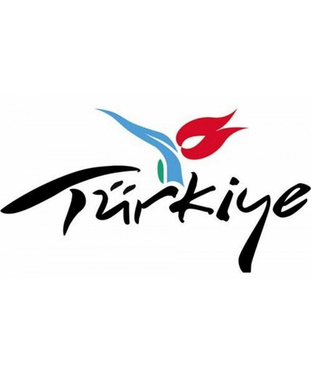 TÜRKİYE STİCKER ÇIKARTMA KÜÇÜK 17CM KOD:800900043