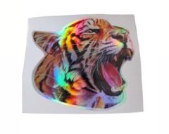 KURT ASLAN HOLOGRAM 13X13CM KOD:1241