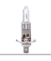 H1 AMPUL 12V 55W FLOS ADET KOD:3021